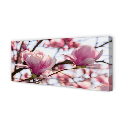 Duży obraz na płótnie Drzewa Magnolii