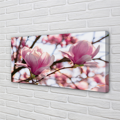 Duży obraz na płótnie Drzewa Magnolii