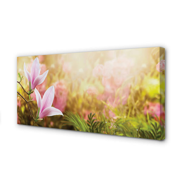 Duży obraz na płótnie Drzewa Magnolii w Słońcu