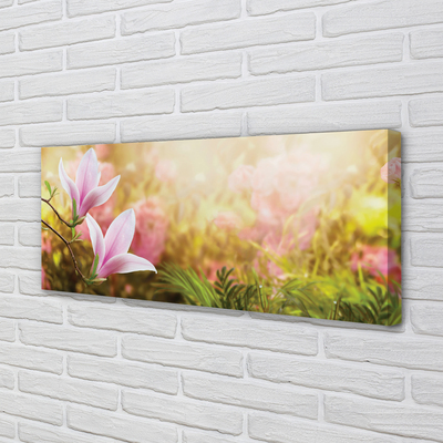 Duży obraz na płótnie Drzewa Magnolii w Słońcu