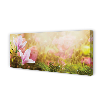 Duży obraz na płótnie Drzewa Magnolii w Słońcu