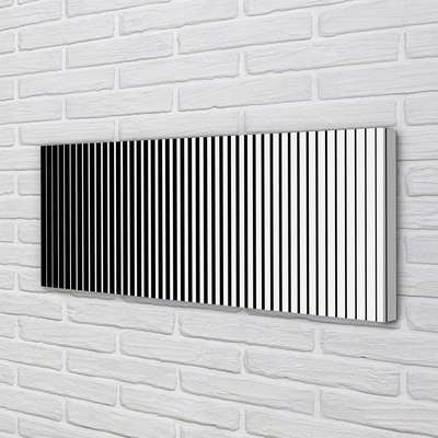 Obraz na płótnie Gradientowy Wzór Zebry