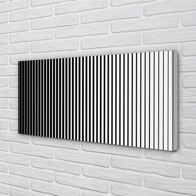 Obraz na płótnie Gradientowy Wzór Zebry