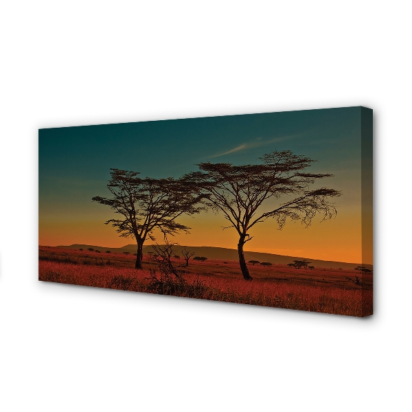 Duży obraz na płótnie Drzewa na Tle Nieba