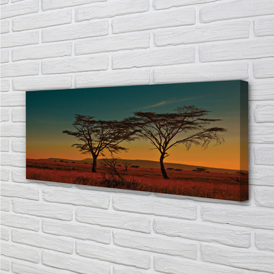 Duży obraz na płótnie Drzewa na Tle Nieba