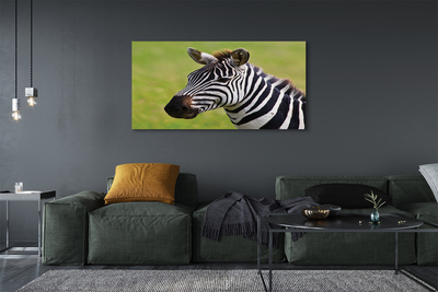 Obraz na płótnie Zebra w Zbliżeniu