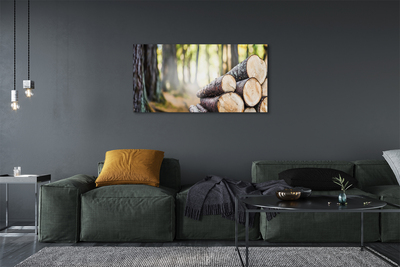 Obraz drukowany na płótnie Esencja Drewna Z Lasu