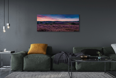 Obraz na płótnie Pole Wrzosów