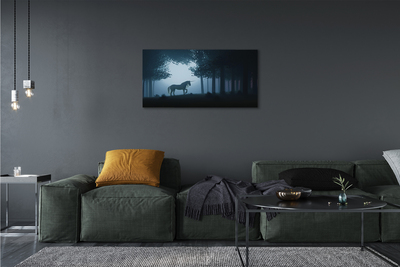 Zdjęcie na płótnie Nocny Las i Jednorożec