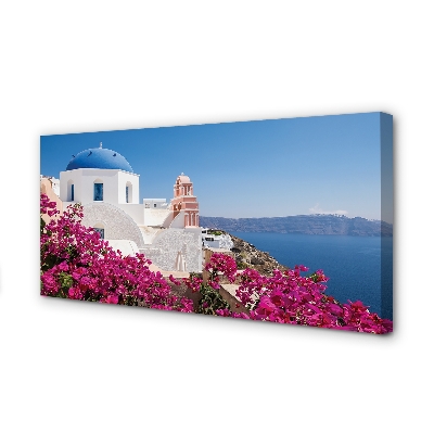 Obraz na płótnie Grecja Kwiaty morze budynki