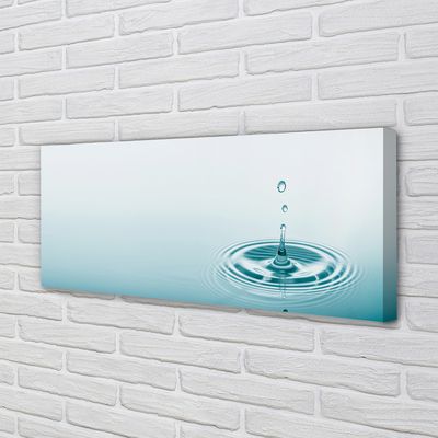 Duży obraz na płótnie Kropla Wody w Makrofotografii