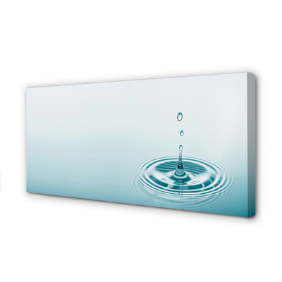 Duży obraz na płótnie Kropla Wody w Makrofotografii