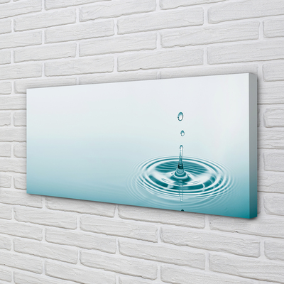 Duży obraz na płótnie Kropla Wody w Makrofotografii