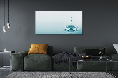Duży obraz na płótnie Kropla Wody w Makrofotografii