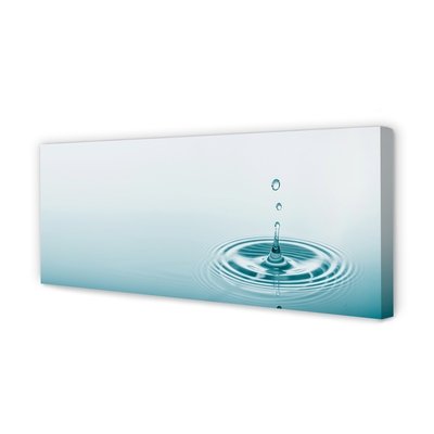 Duży obraz na płótnie Kropla Wody w Makrofotografii