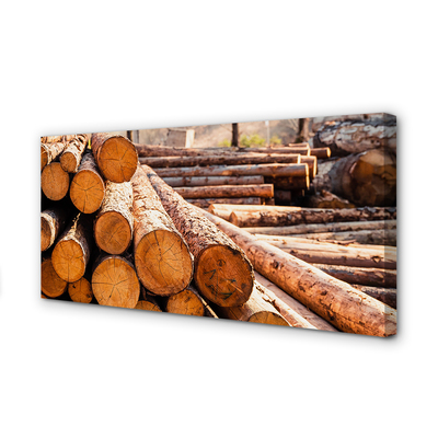 Obraz na płótnie Składowisko Świeżych Bali