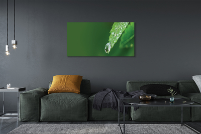 Obraz na płótnie Kropla woda liść