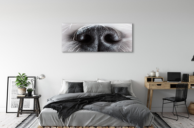 Obraz canvas na ścianę Nos Psa w Zbliżeniu