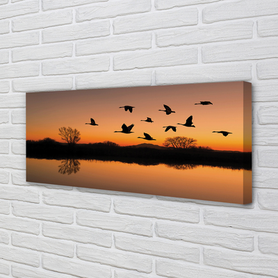 Obraz na płótnie Lecące ptaki zachód słońca