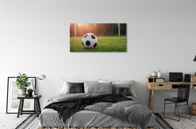 Obraz na płótnie Piłka trawa bramka