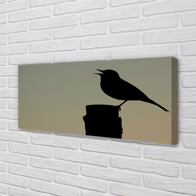 Obraz na płótnie Tajemniczy Czarny Ptak