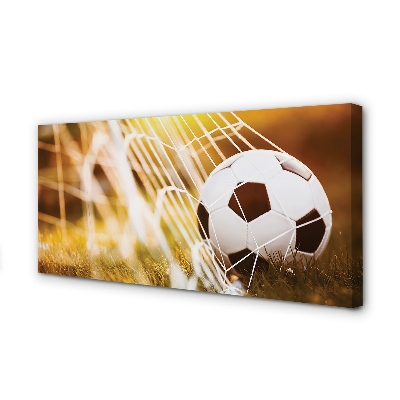 Obraz na płótnie Kontrastowy Futbol Na Murawie