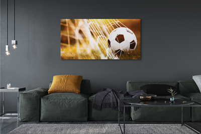 Obraz na płótnie Kontrastowy Futbol Na Murawie