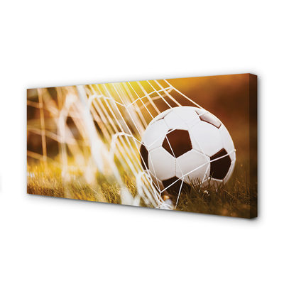 Obraz na płótnie Kontrastowy Futbol Na Murawie