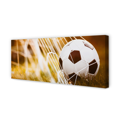 Obraz na płótnie Kontrastowy Futbol Na Murawie