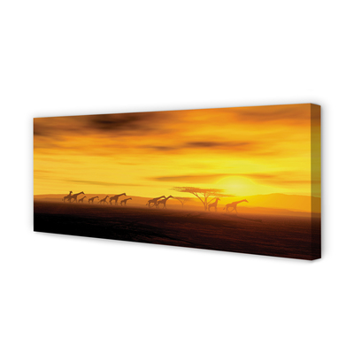 Duży obraz na płótnie Drzewo i Żyrafy pod Niebem