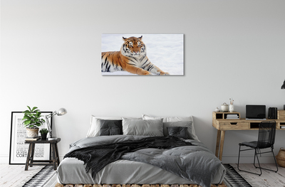 Obraz na płótnie Tygrys zima śnieg