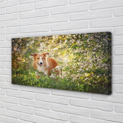 Obraz na płótnie Pies las kwiaty