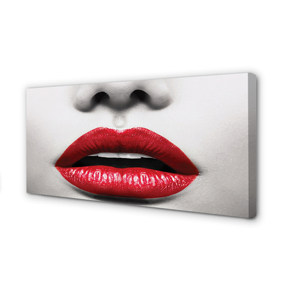 Duży obraz na płótnie Czerwone Usta i Nos Kobiety