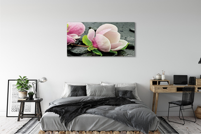 Obraz canvas na ścianę Magnolia i Kamienie
