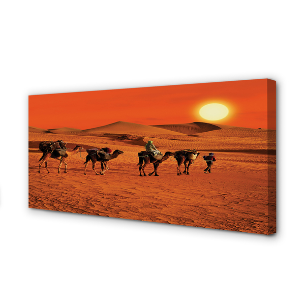 Obraz na płótnie Wielbłądy ludzie pustynia słońce niebo