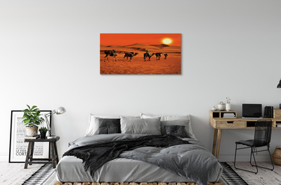 Obraz na płótnie Wielbłądy ludzie pustynia słońce niebo
