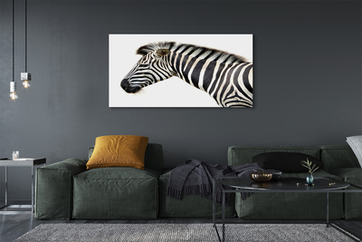 Zdjęcie na płótnie Samotna Zebra