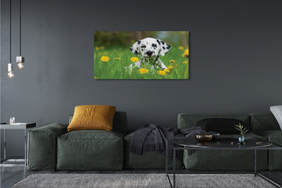 Obraz drukowany na płótnie Pies na Łące