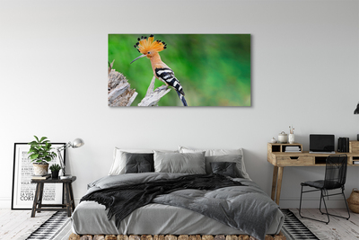 Duży obraz na płótnie Papuga na Drzewie