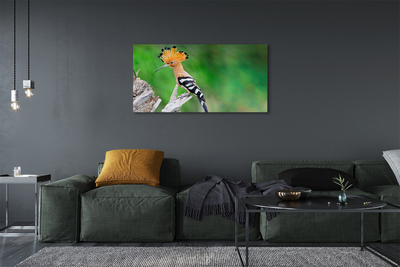 Duży obraz na płótnie Papuga na Drzewie