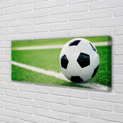 Zdjęcie na płótnie Detal Piłki Na Trawie