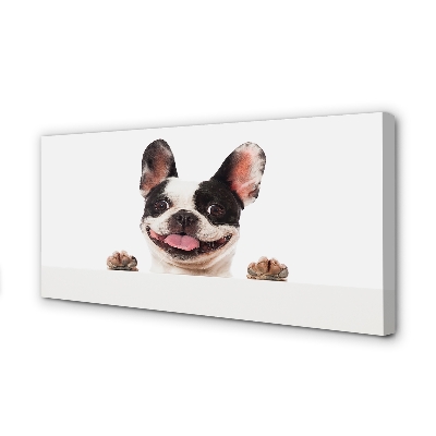 Obraz drukowany na płótnie Portret Psa