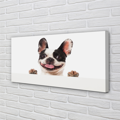 Obraz drukowany na płótnie Portret Psa