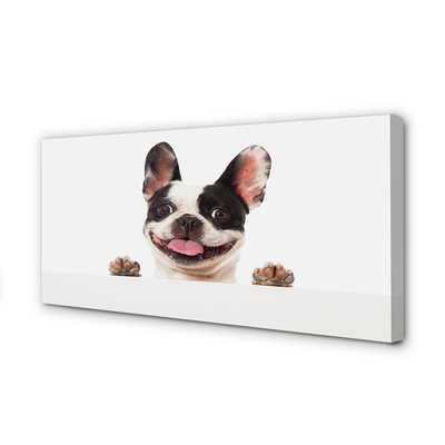 Obraz drukowany na płótnie Portret Psa