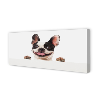 Obraz drukowany na płótnie Portret Psa