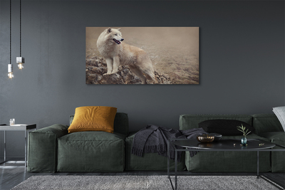 Obraz drukowany na płótnie Wilk na Górskim Szlaku