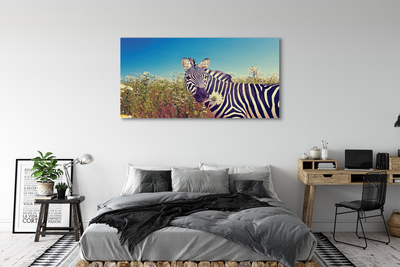 Obraz na płótnie Zebra kwiaty