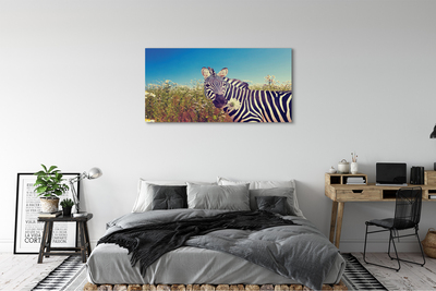 Obraz na płótnie Zebra kwiaty