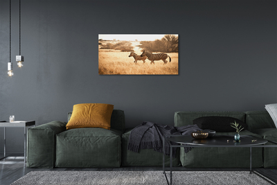 Fotoobraz na płótnie Zebra o Zachodzie Słońca