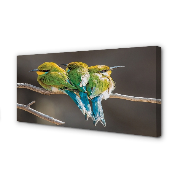 Zdjęcie na płótnie Dwa Ptaki na Gałęzi